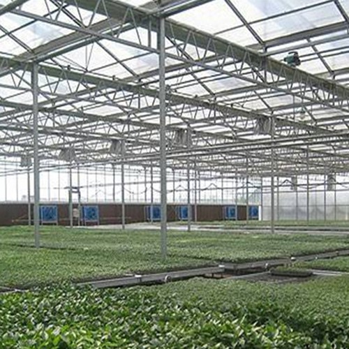 Tŷ Gwydr Hydroponeg