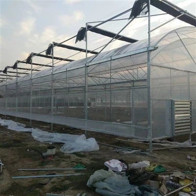 200 Micron UV Plastig Ffilm Tŷ Gwydr