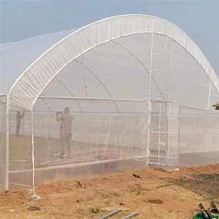 Ty Gwydr Gweledigaeth Twnnel