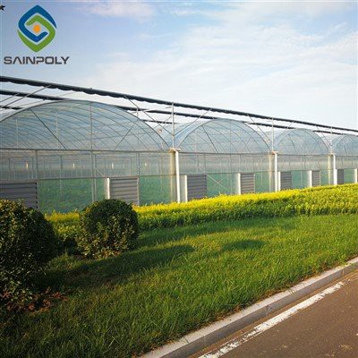 Plastig UV 200 Microns Tŷ Gwydr Amaethyddol